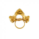 VERTEBRA RING